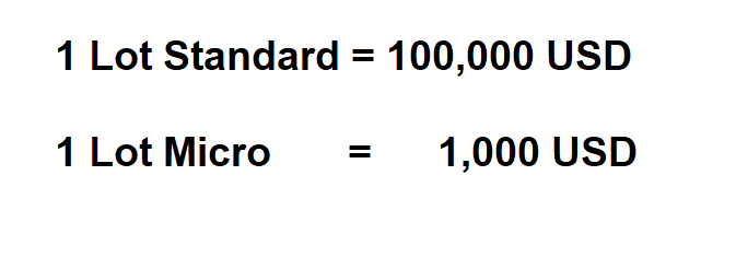 ขนาด Lot ของ Forex