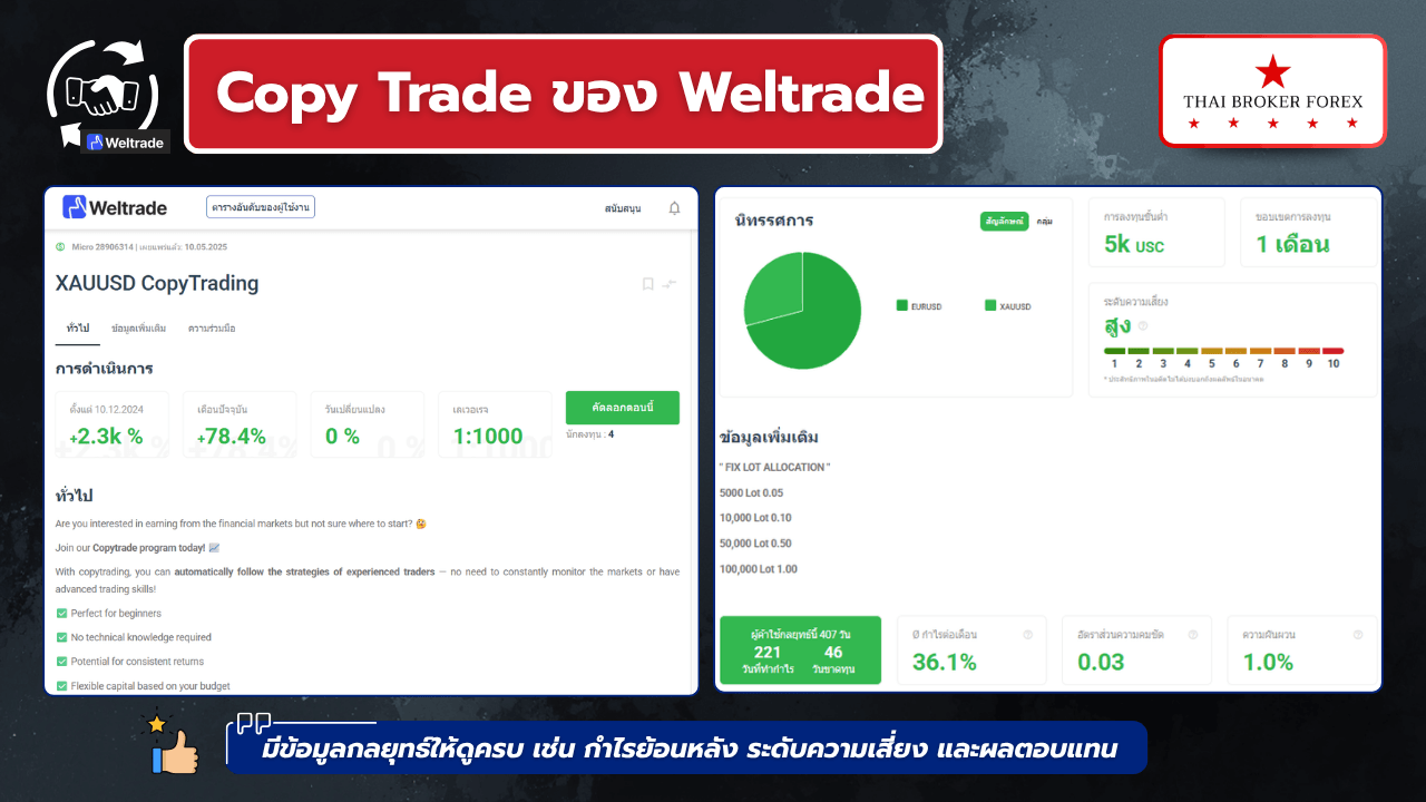 รีวิว Copy trading weltrade